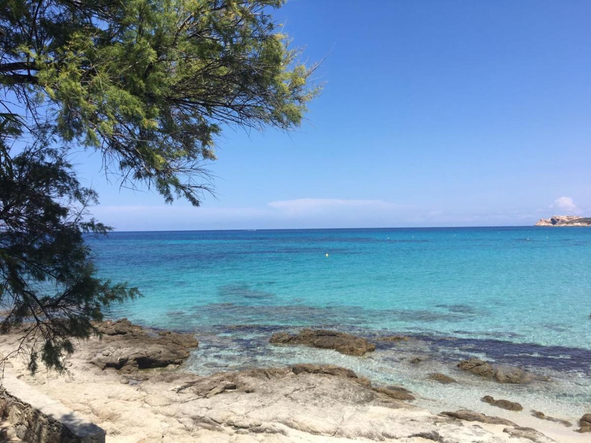 مبيت وإفطار Pioggiola A Muvrella المظهر الخارجي الصورة